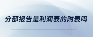 分部报告是利润表的附表吗