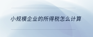 小规模企业的所得税怎么计算