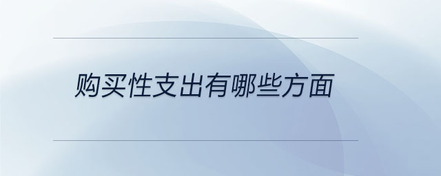 购买性支出有哪些方面