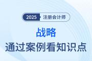 公司的目标_2025年《战略》通过案例看知识点