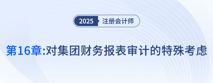 第十六章对集团财务报表审计的特殊考虑_2025年注会审计抢学记忆树