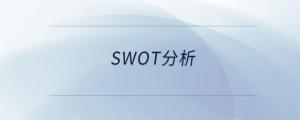 swot分析