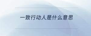 一致行动人是什么意思