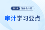 用作风险评估程序_25年注册会计师审计学习要点